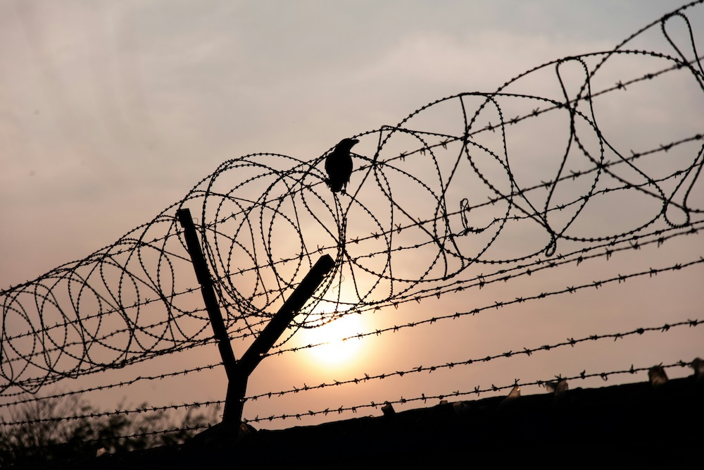 A bird sits on a barbed wire fence as the sun sets..