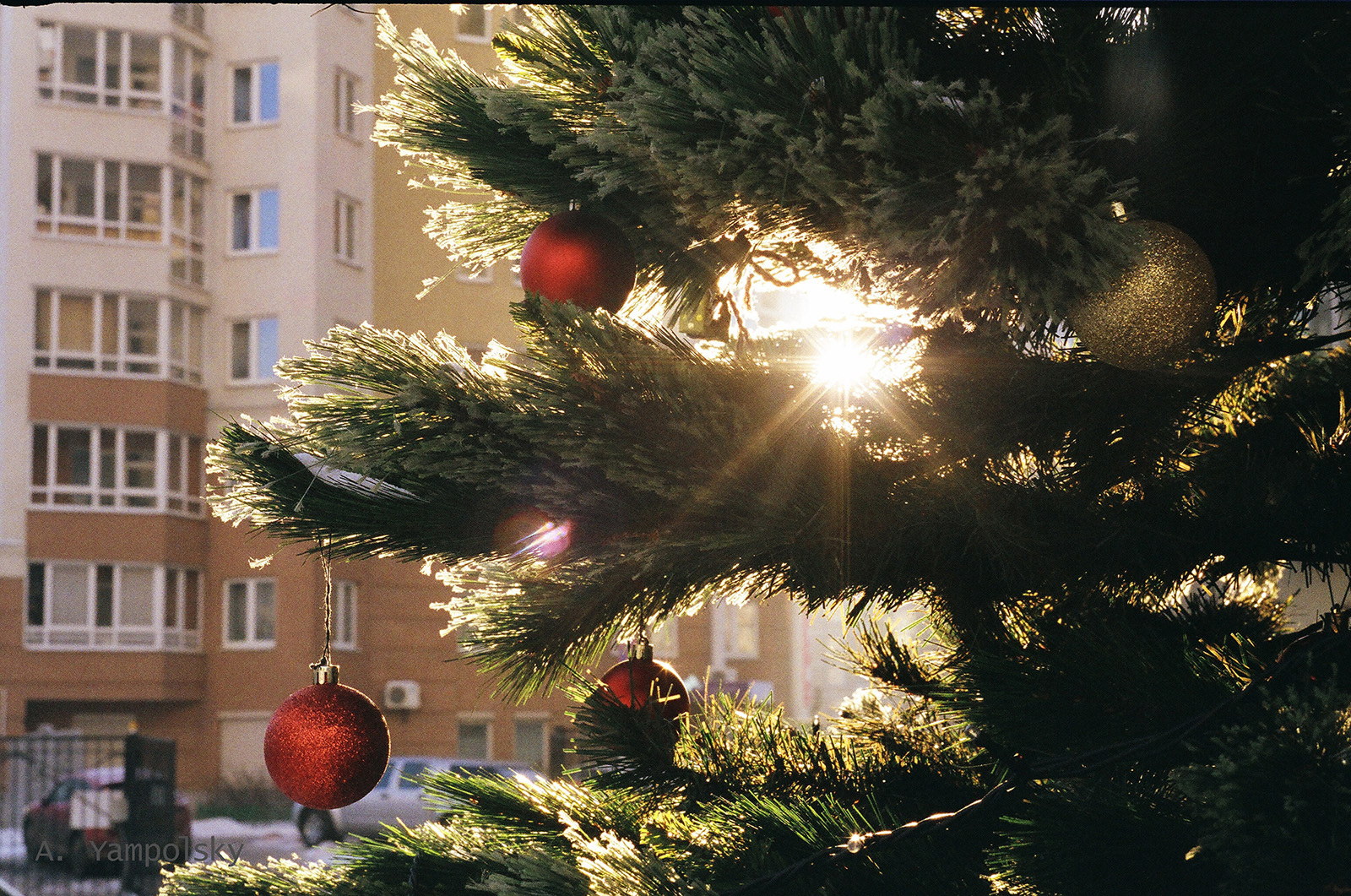 New Year's tree at sunset(Ёлка на закате )